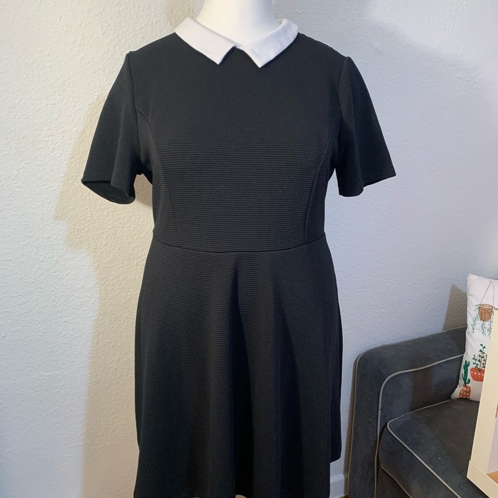 Forever 21 Black Midi Dress with White Collar